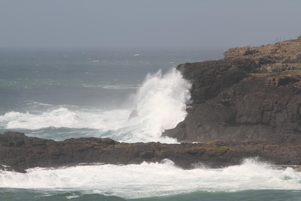 לינה וארוחת בוקר קיאמה Sea Whispers מראה חיצוני תמונה